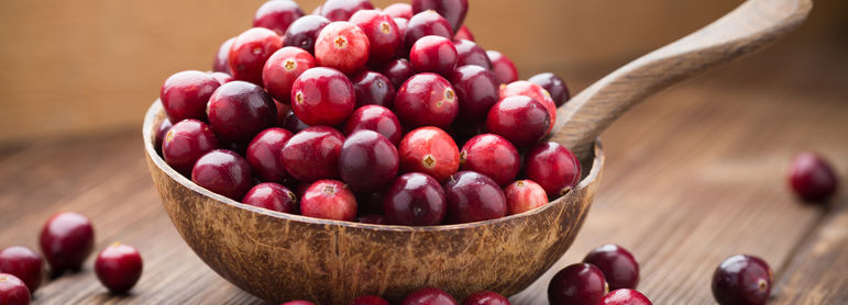 Cranberry - idée recette facile Mysaveur