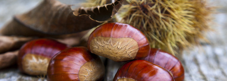 Châtaignes et marrons - idée recette facile Mysaveur