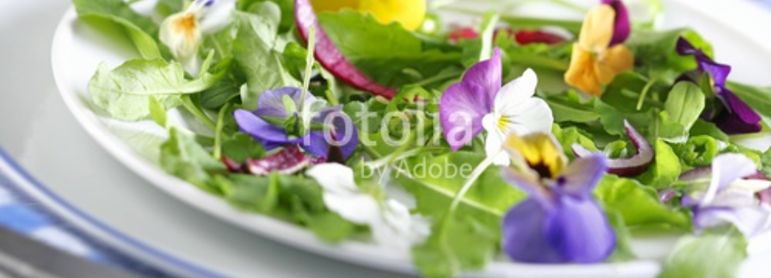 recettes Fleurs – idée recette facile rapide