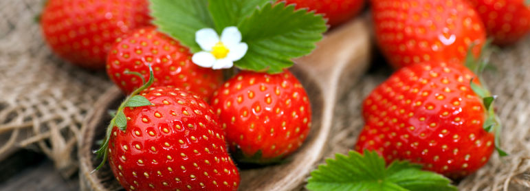 Recette avec des fraises - idée recette facile Mysaveur