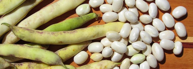 Haricots blancs - idée recette facile Mysaveur