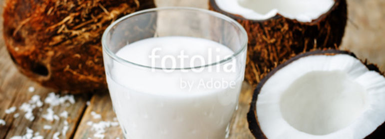 Recettes au lait de coco - idée recette facile Mysaveur