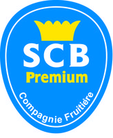 Scb