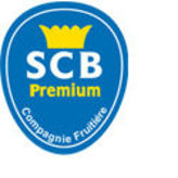 Scb premium