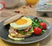 Egg muffin bacon avocat