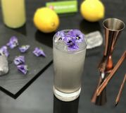 Galvanina purple