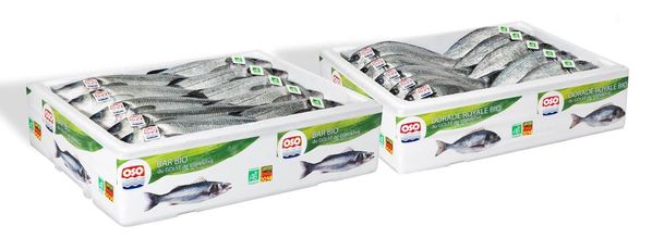 Espace Oso, les poissons bio sur MySaveur