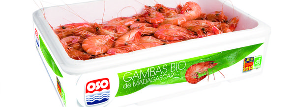 Espace Oso la gambas bio sur MySaveur