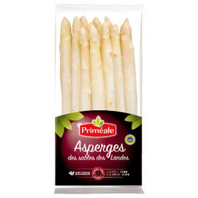 Asperges des Sables des Landes Priméale Reconnu Saveur de l'année