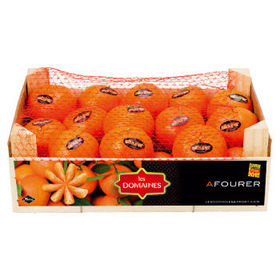 Mandarine Afourer - LES DOMAINES Reconnu Saveur de l'année