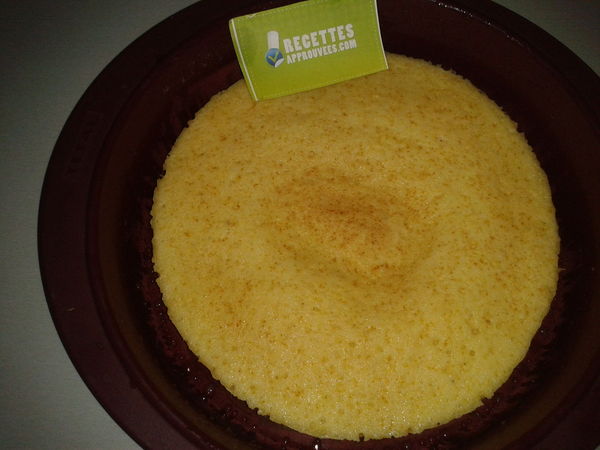 polenta au micro onde