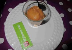Sorbet abricots mirabelles thermomix - Christiane C.
