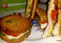 Sandwich avocat mozzarella et tomate  - Catalina L.
