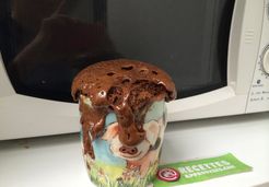 Mug cake chocolat aux quatre épices  - Adeline A.