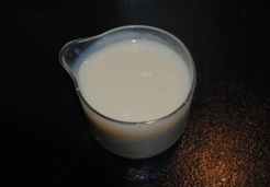 LAIT CONCENTRE AU THERMOMIX - ELISABETH F.