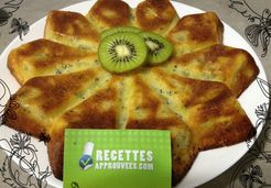 Gâteau aux kiwis  - Audrey H.