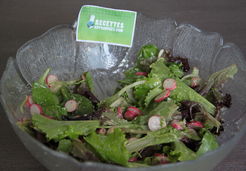 Salade fraîcheur aux radis - Amandine W.