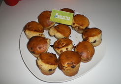 muffins au lion et pepites de chocolat - Sandra T.