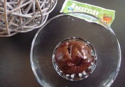 Sorbet au chocolat (au Thermomix) - Alexandra A.