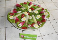 Salade printanière multicolore - Claudine O.