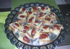 Toasts au magret de canard - Sylvie H.