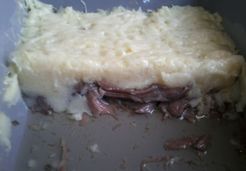 Parmentier de canard - Magali G.