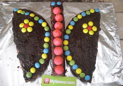 Gâteau choco papillon - Lucie O.
