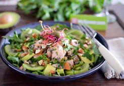 Salade vitaminée au saumon - DELMAS