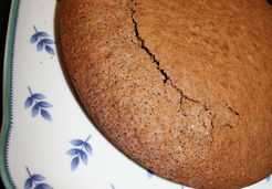 Gâteau express au yaourt et chocolat noir au Thermomix - Francoise C.