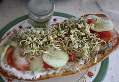 Bruschetta végétal aux graines germés - Marina S.