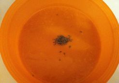Velouté de potiron - Anne-Caroline W.