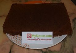 Gâteau léger au chocolat - Myriam S.