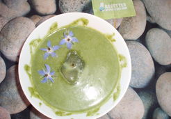 Potage glacé aux feuilles de bourrache et courgette. - Monique D.