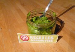 Pesto aux fanes de radis (thermomix) - Perrine G.