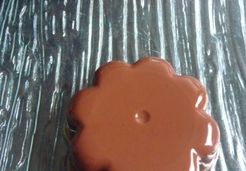 Flans au chocolat à l'agar agar (flamby au chocolat) - Alexandra A.