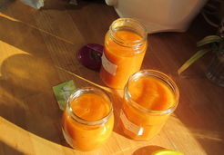 Coulis de Tomates au Thermomix - Anaelle C.