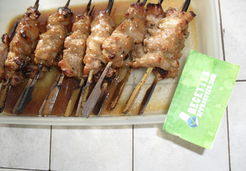 Brochettes de poulet marinées à la sauce soja - Claudine O.